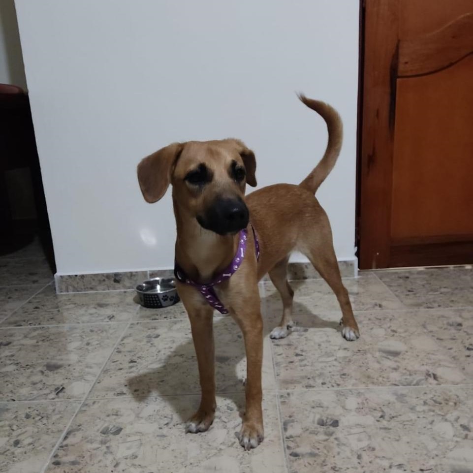 ABY