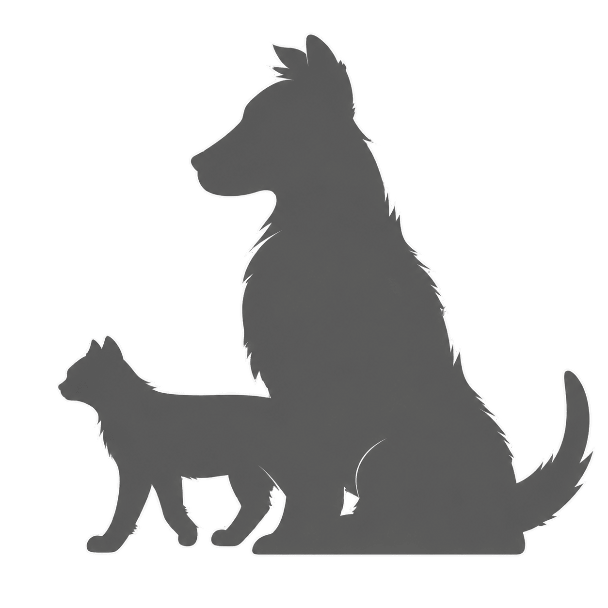 Logo de JAVIER