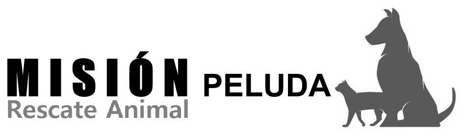 Fundación Misión Peluda